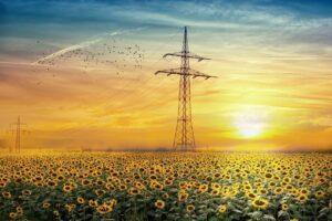 Finazierung Photovoltaik - Abbild Sonnenblumenfeld